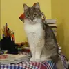 Отзыв от Эмилия Анохина